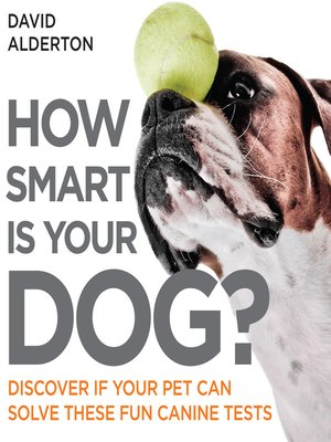 cover image of How Smart Is Your Dog?
